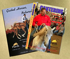 Great Lies We Live By 