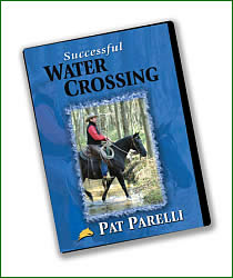 Great Lies We Live By 